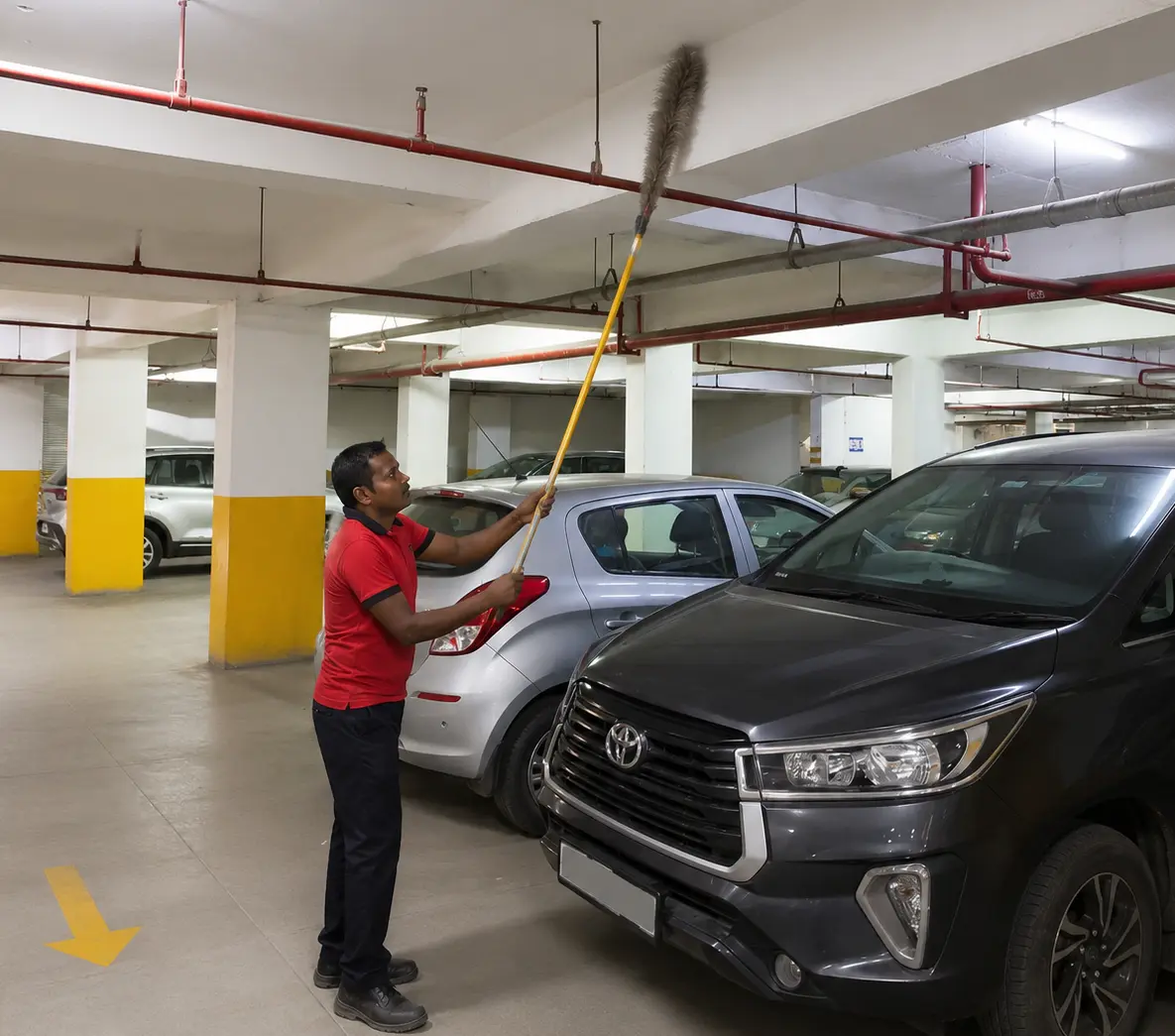 Society Cleaning